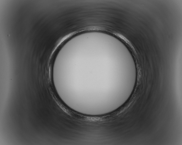 X0000085080886200703051106