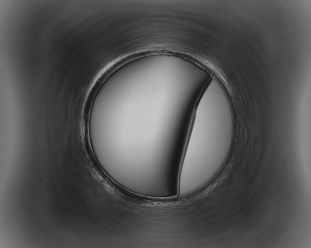 X0000085080888200703051106