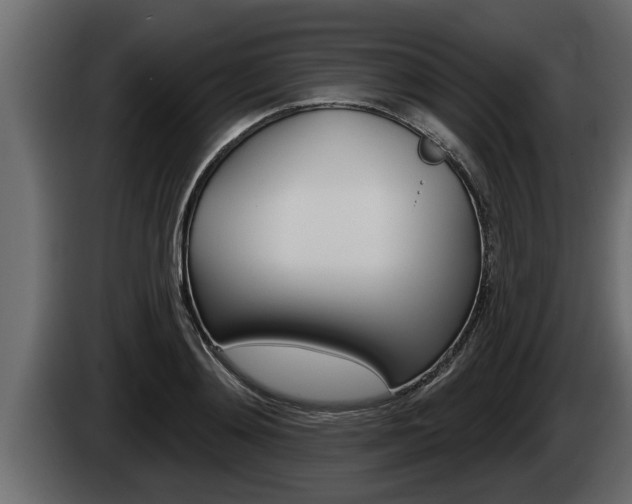 X0000085080892200703051106