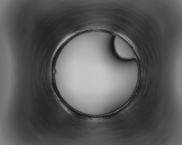 X0000085080894200703051106