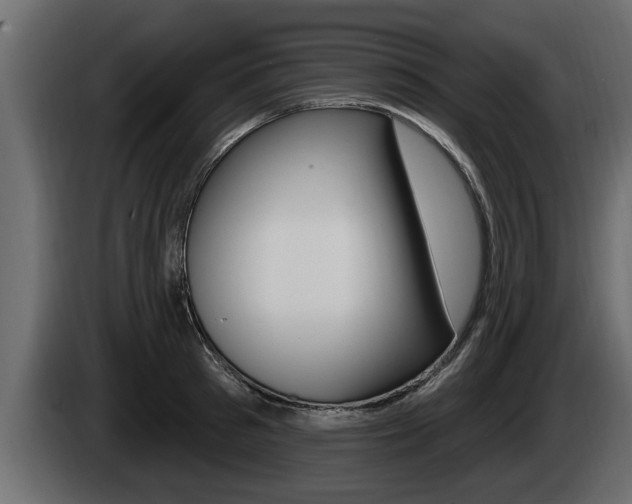 X0000085080897200703051106