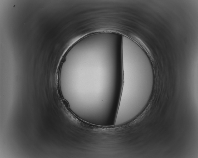 X0000085080900200703051106