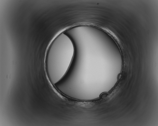 X0000085080902200703051106