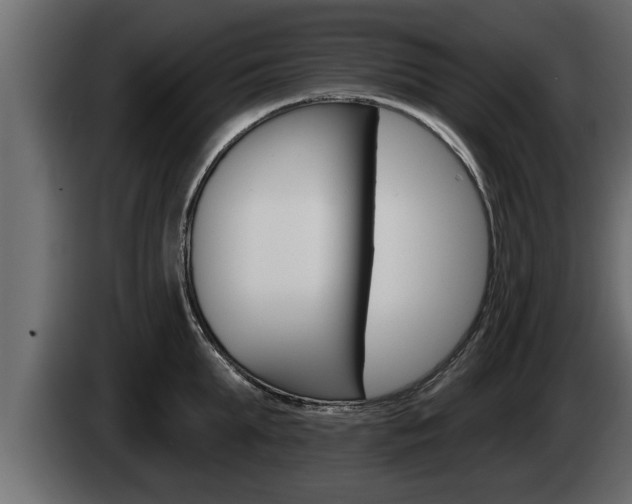 X0000085080903200703051106