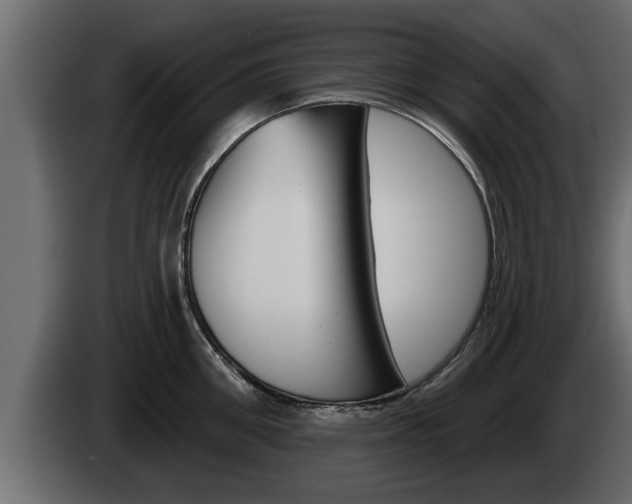 X0000085080906200703051106