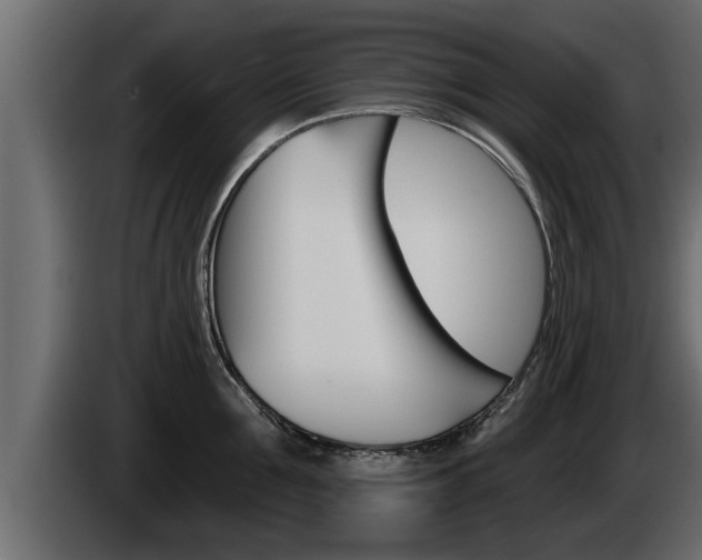 X0000085080907200703051106