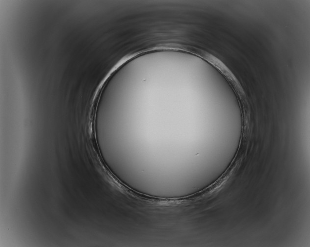 X0000085080908200703051106
