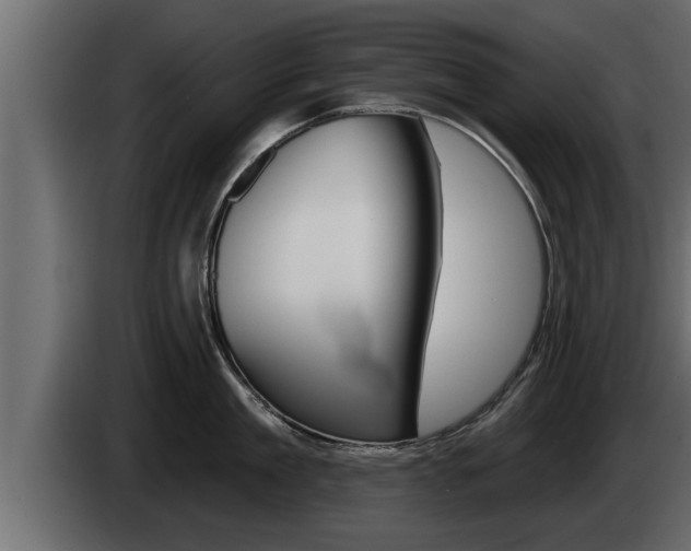 X0000085080909200703051106