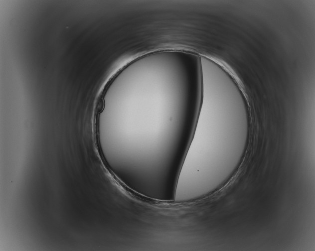 X0000085080910200703051106
