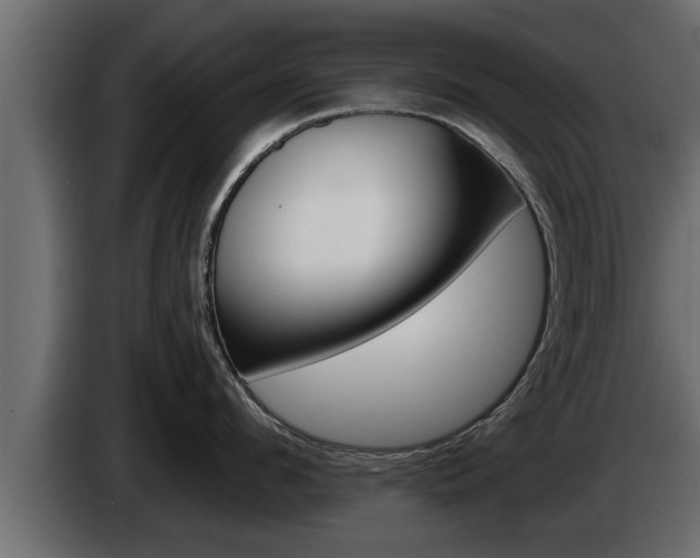 X0000085080912200703051106