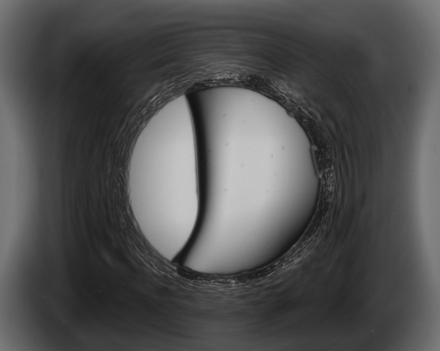 X0000085080916200703051105