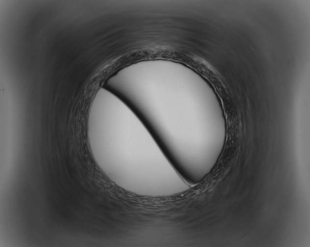 X0000085080919200703051105
