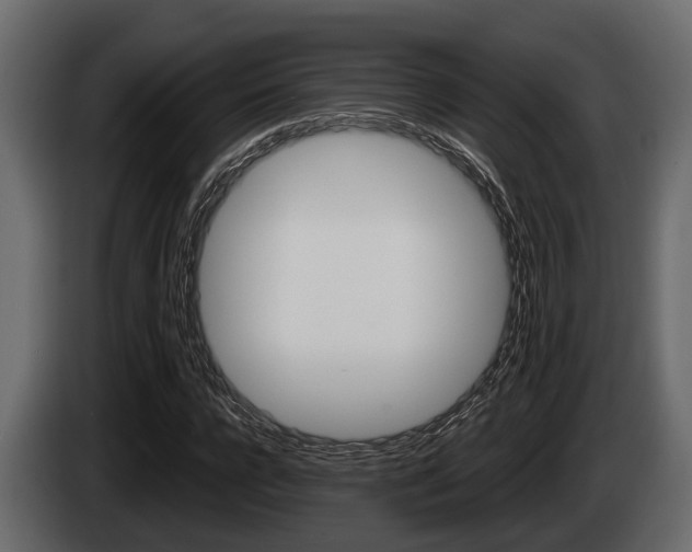 X0000085080920200703051105