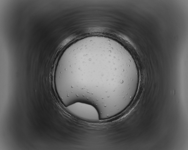 X0000085080921200703051105