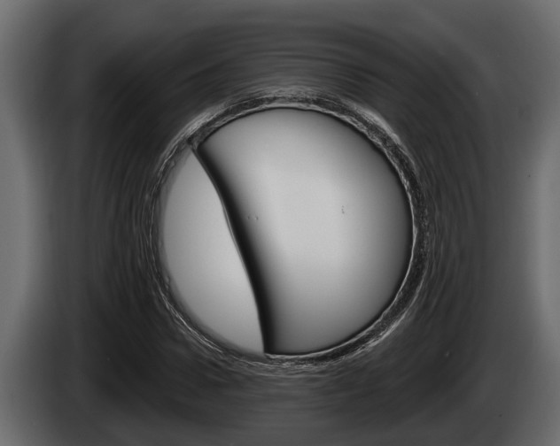 X0000085080922200703051105