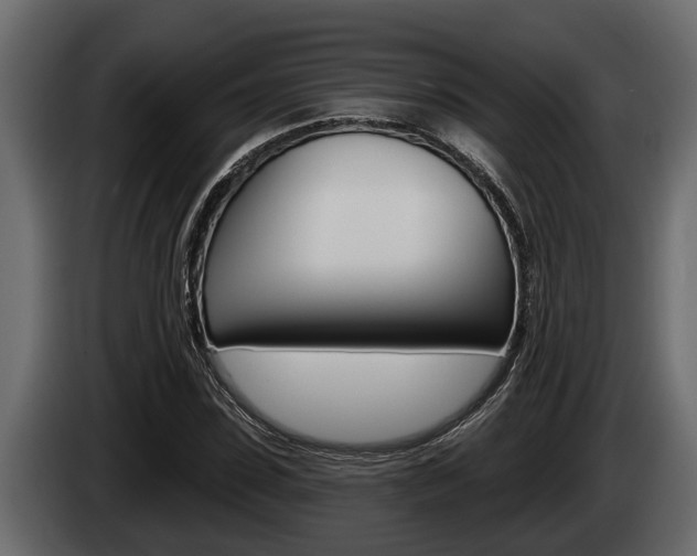 X0000085080923200703051105