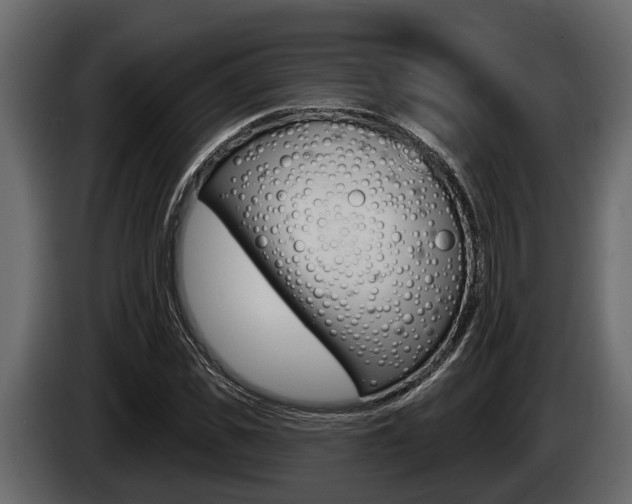 X0000085080925200703051105