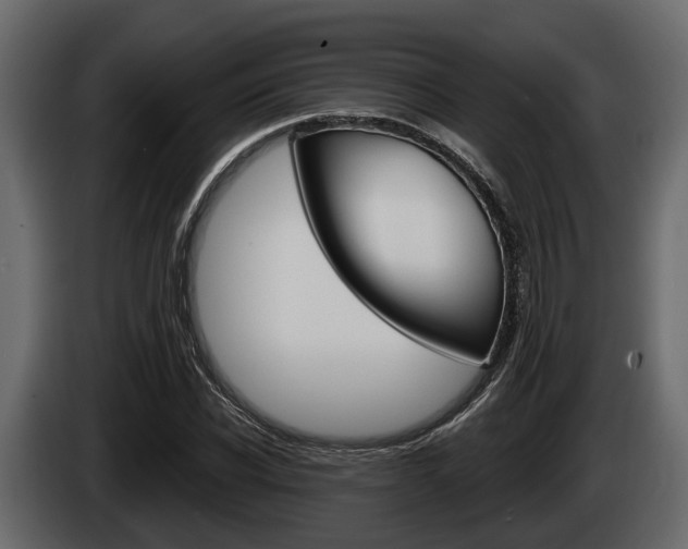 X0000085080926200703051105