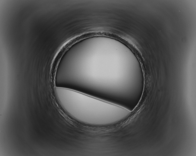 X0000085080927200703051105