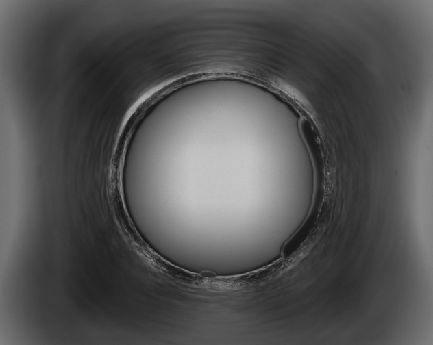 X0000085080928200703051105