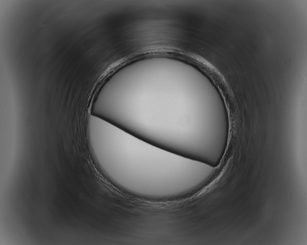 X0000085080929200703051105