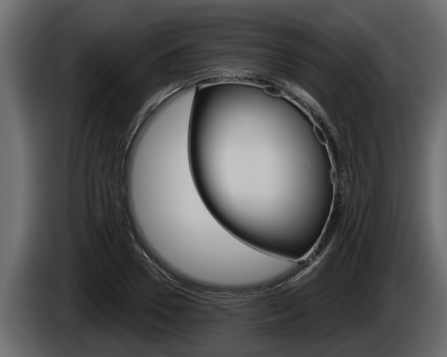 X0000085080930200703051105