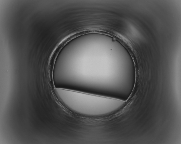 X0000085080931200703051105
