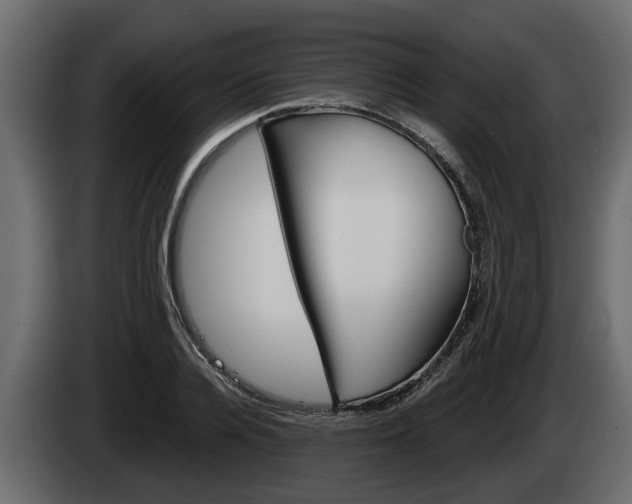 X0000085080936200703051106
