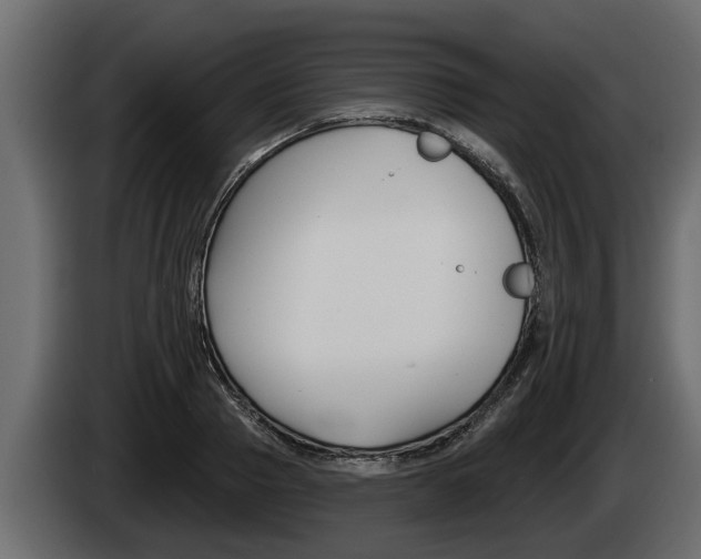 X0000085080937200703051106