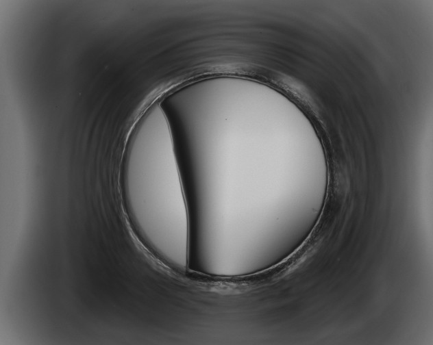 X0000085080938200703051106