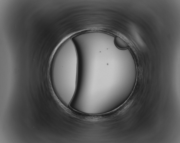 X0000085080939200703051106