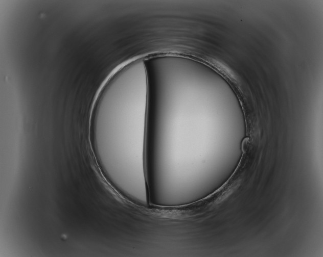 X0000085080940200703051106