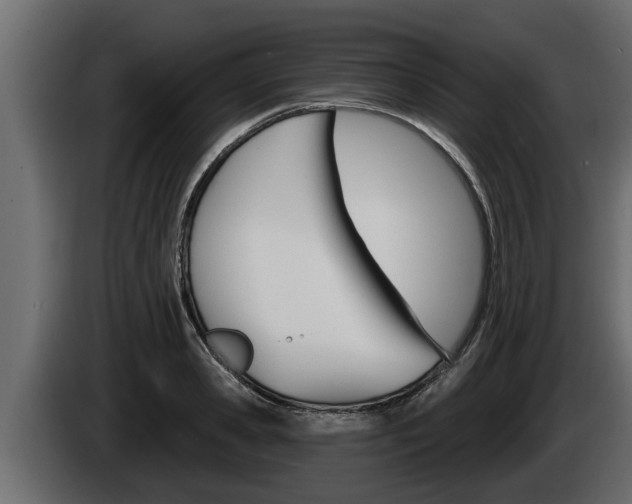 X0000085080941200703051106