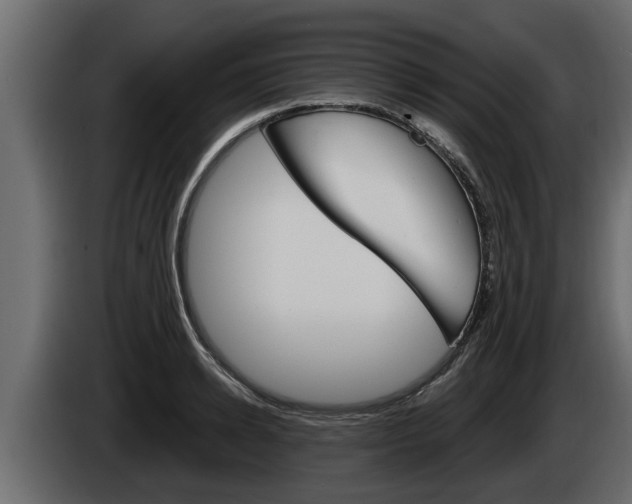 X0000085080942200703051106