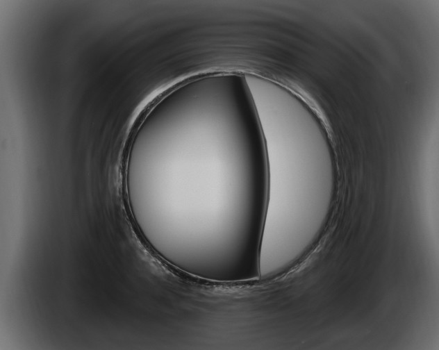 X0000085080944200703051106