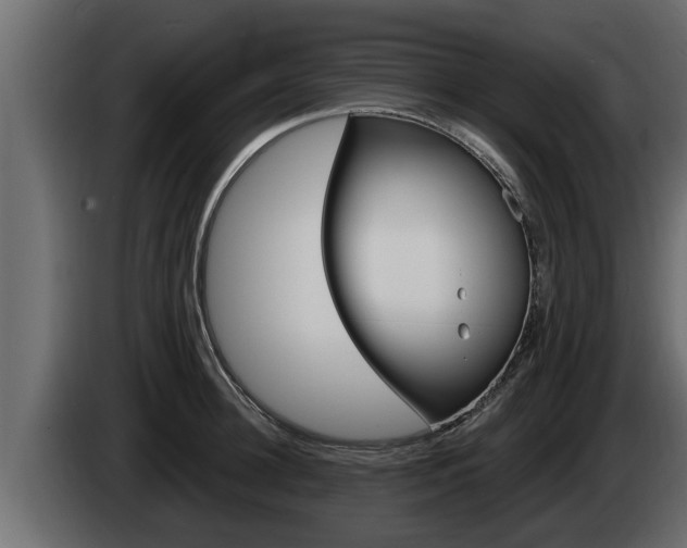 X0000085080948200703051106