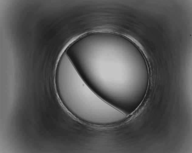 X0000085080949200703051106