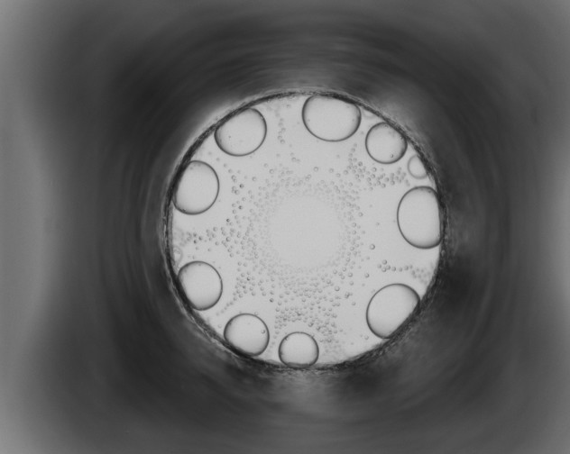 X0000085080950200703051106