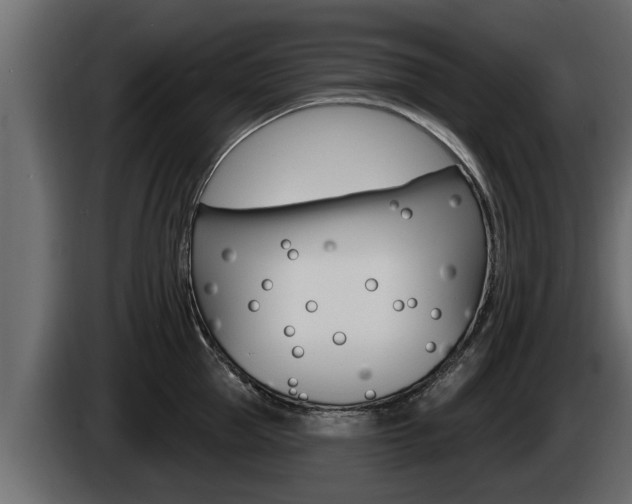 X0000085080953200703051106