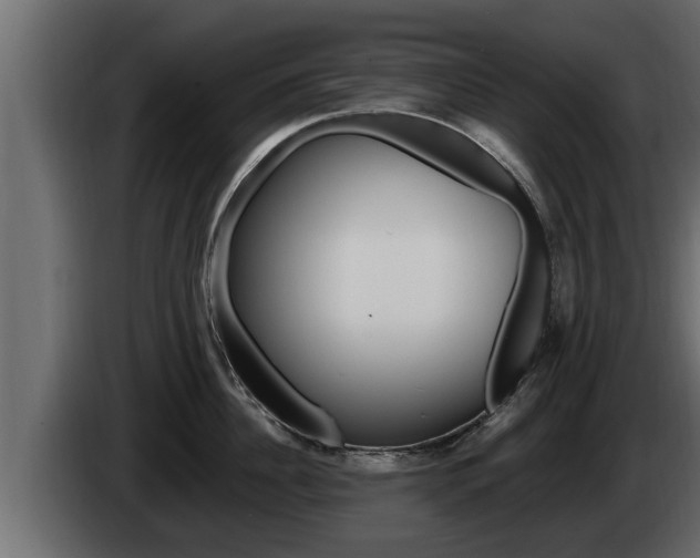 X0000085080956200703051106