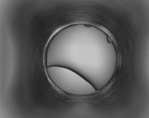 X0000085080958200703051106