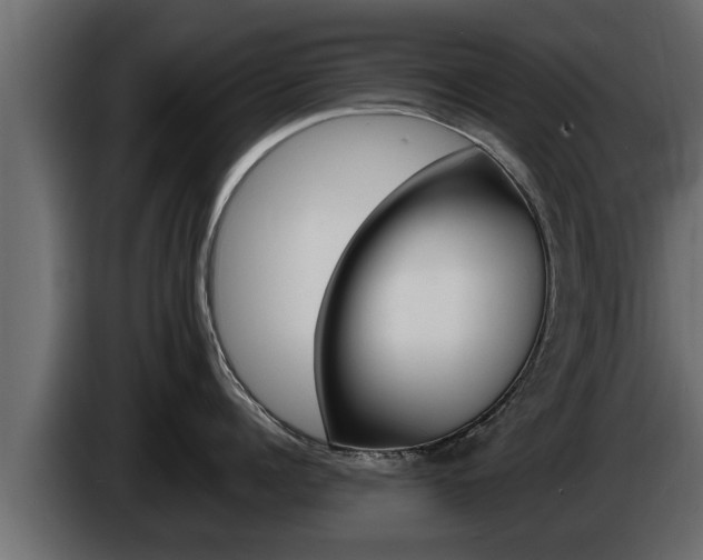 X0000085080960200703051106