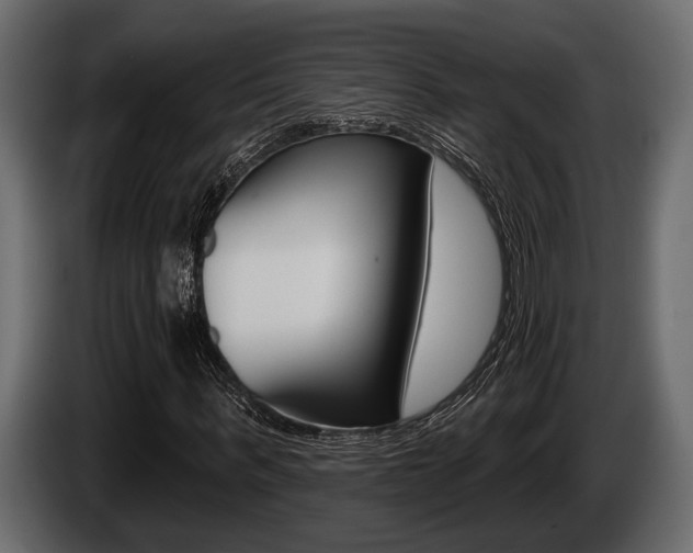 X0000085080963200703051105