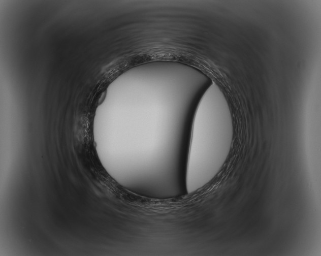 X0000085080964200703051105
