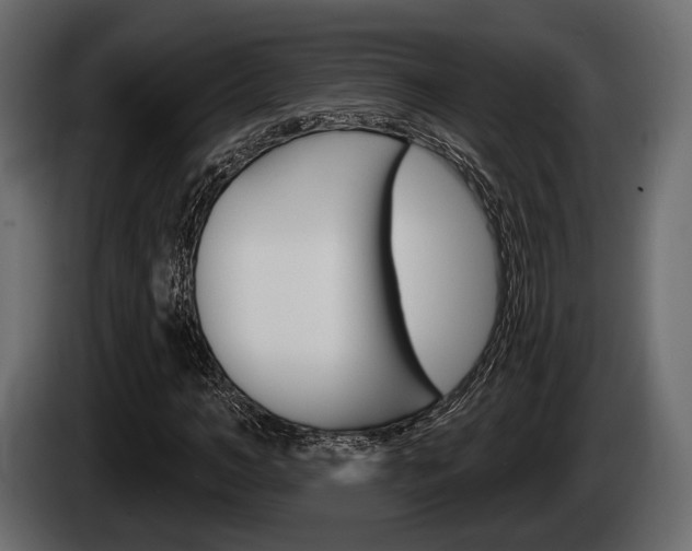 X0000085080966200703051105