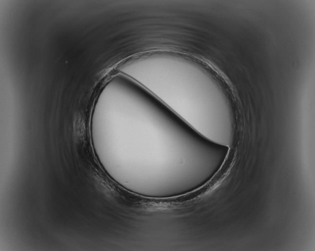 X0000085080969200703051105