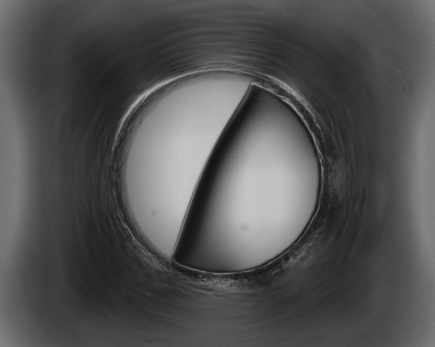 X0000085080971200703051105