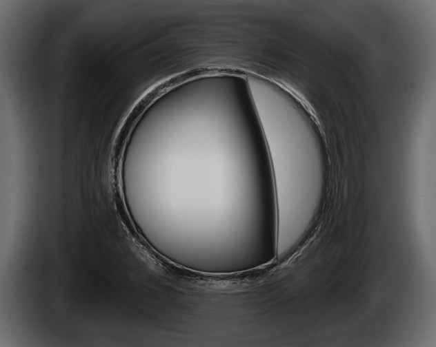 X0000085080976200703051105