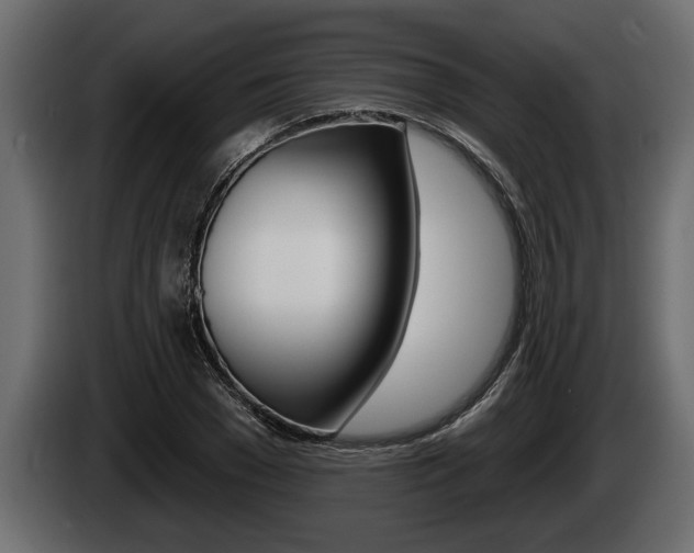 X0000085080977200703051105