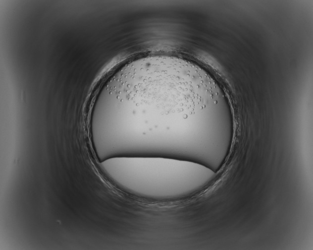 X0000085080978200703051105